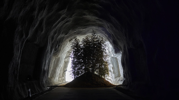 復活したアートプロジェクト「土から生える2024」を図録に残したい 5枚目