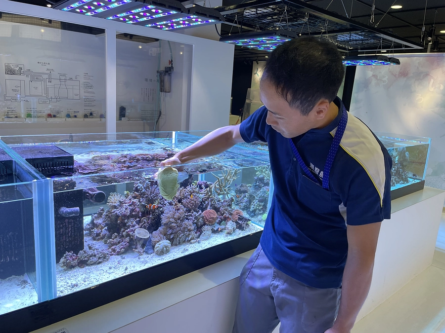 サンゴの飼育Ⅰ（健康チェック編）