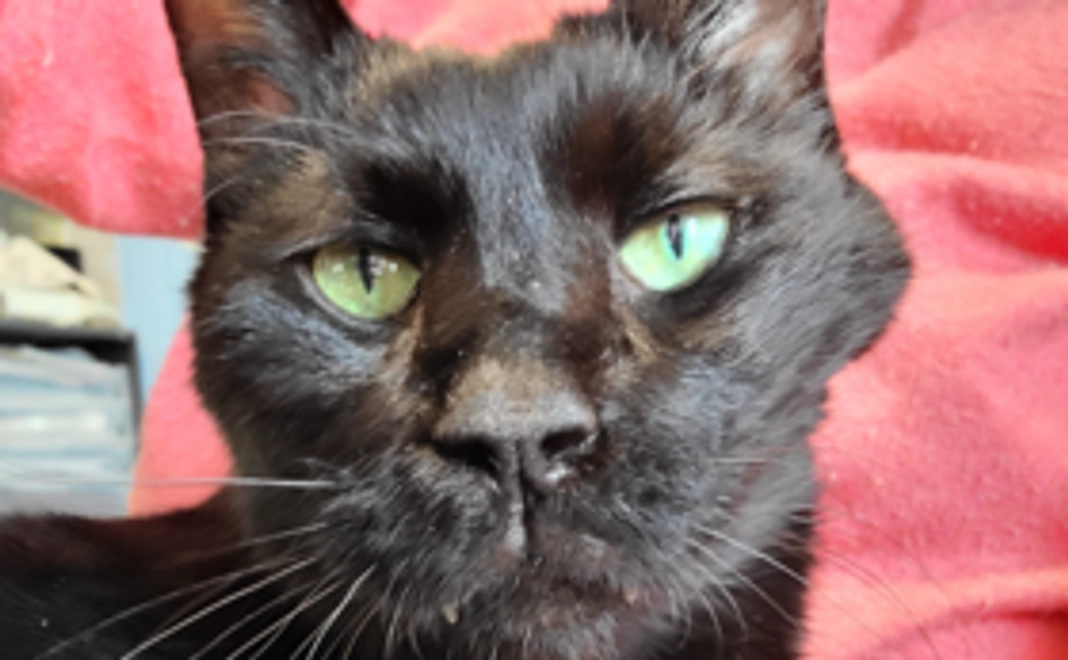 ご支援2,000円コース