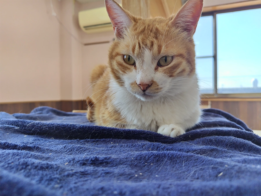 おはようございます😃