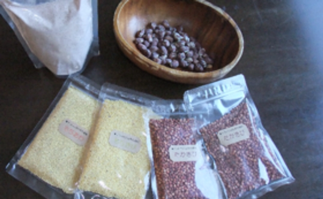 お気持ちコース