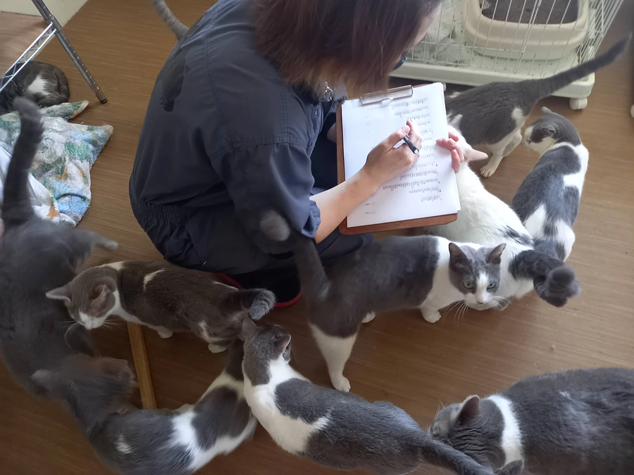 ご支援いただいた方からの応援コメントのご紹介