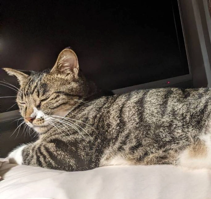 応援メッセージありがとうございます♪