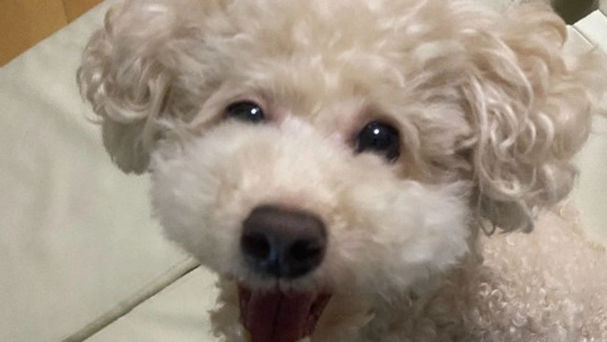 【残り12日】ご心配をおかけしました🥲