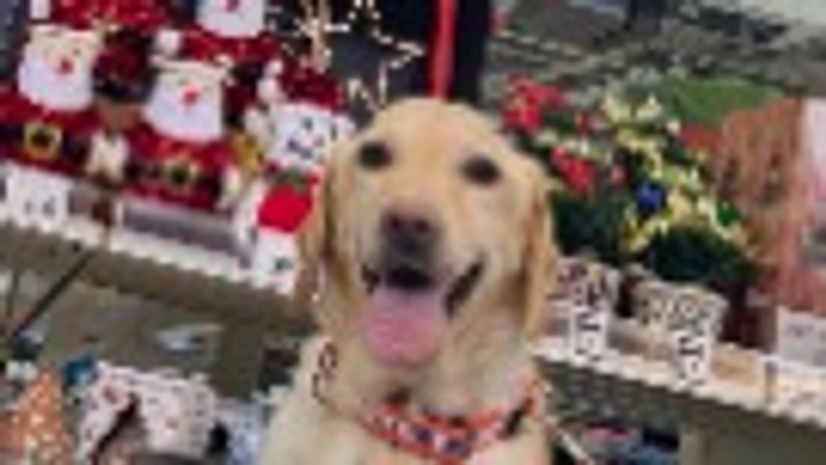 残り10時間となりました。