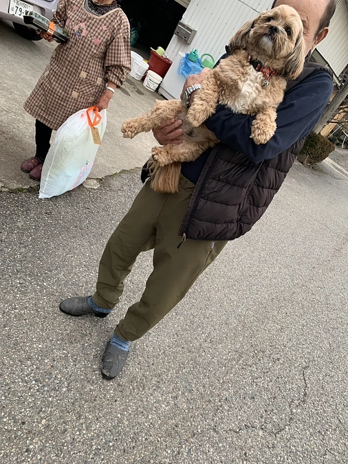 ペットと生きる、それだけで大変だった〜能登地震で出会った被災地の動物たち〜