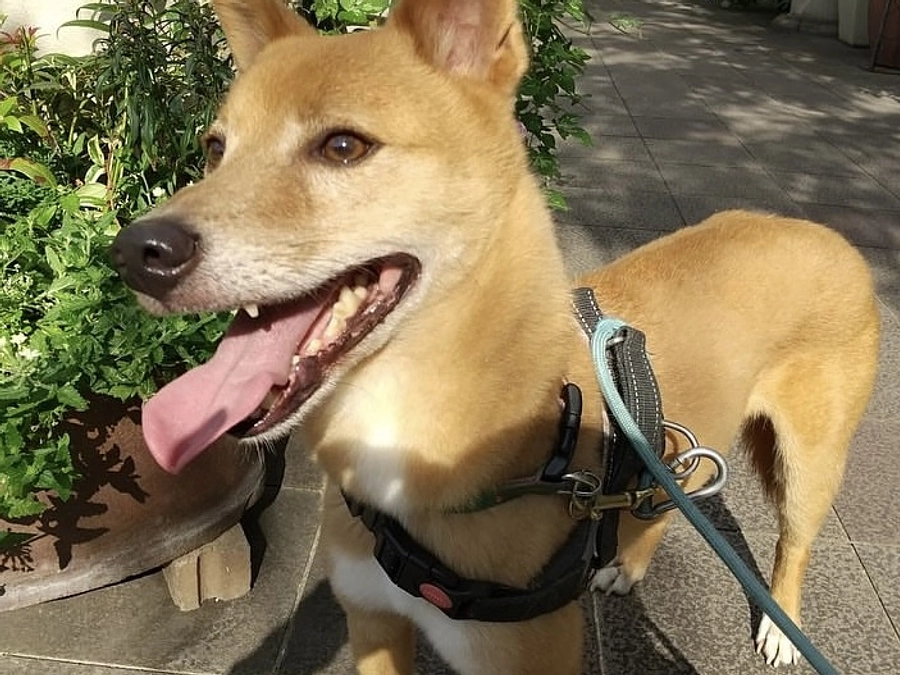 チラシ協力店のみなさま⑤まだまだ追加のいろいろな施設