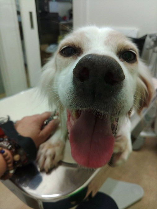 クラウドファンディング終了まであと23日‼️