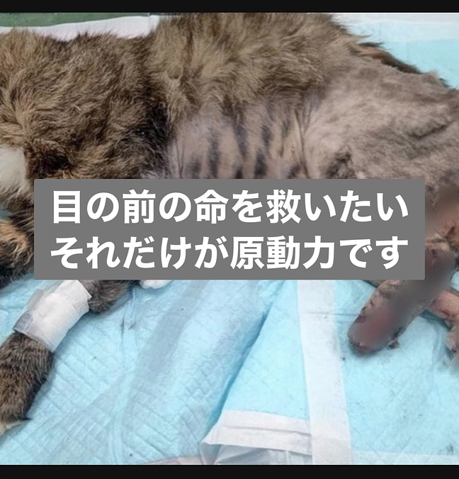 期日はクリスマスの夜★残り１週間となりました！！