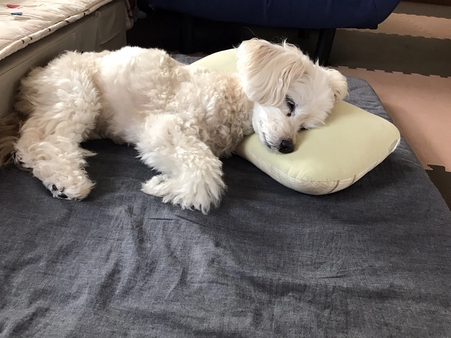 一日の中でも体調にムラがあります