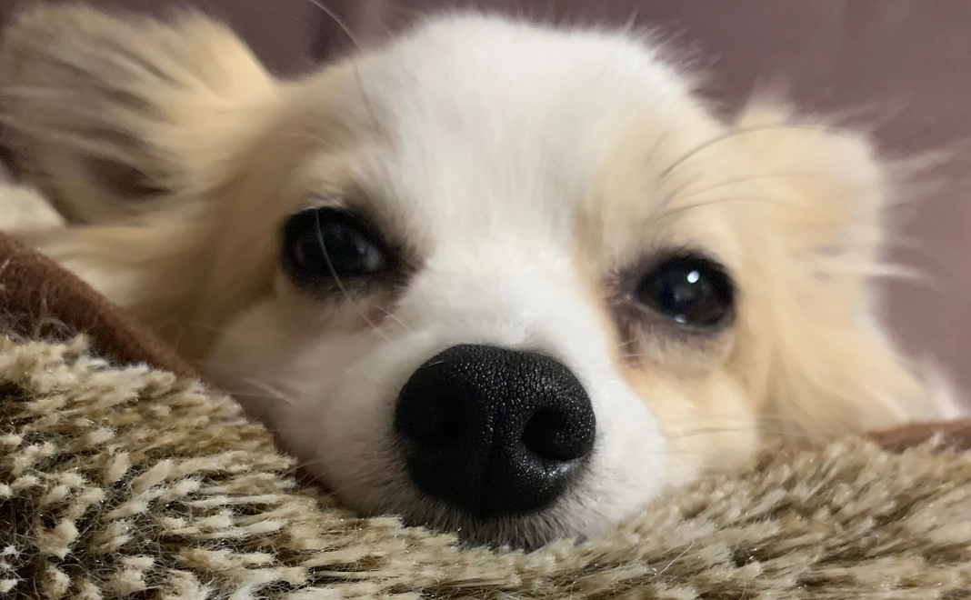 感謝のメール 3