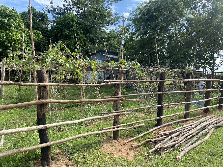 【活動報告第2弾！】木の柵立て