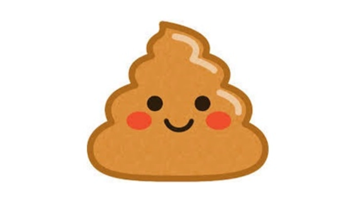 快便健やか じゃがいも澱粉