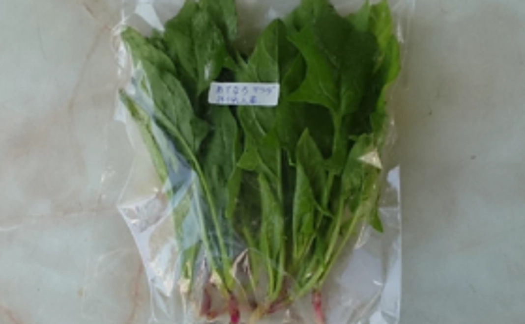 無農薬・無化学薬品のお野菜コース