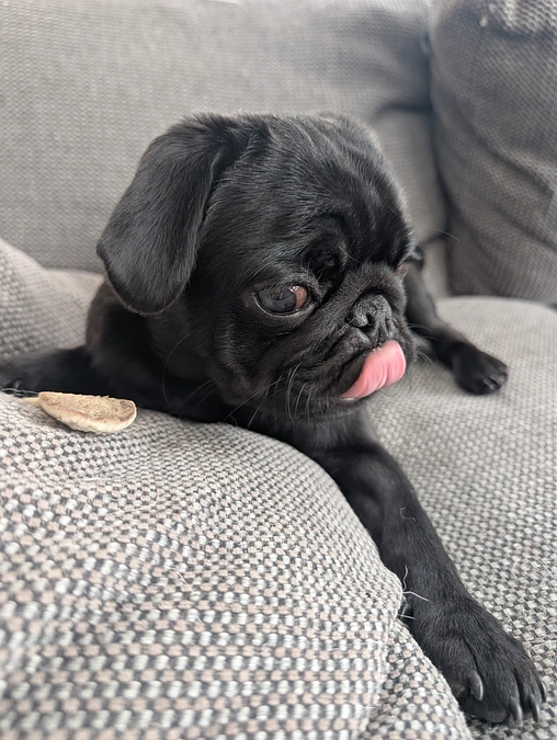 ゆっけ回復してきました✨