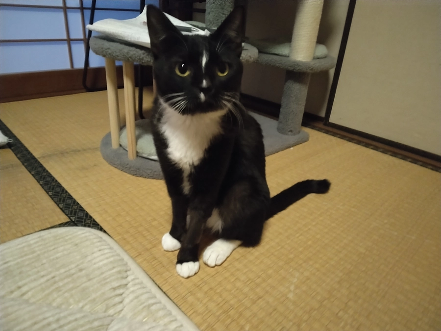 1/16はなちゃんの様子