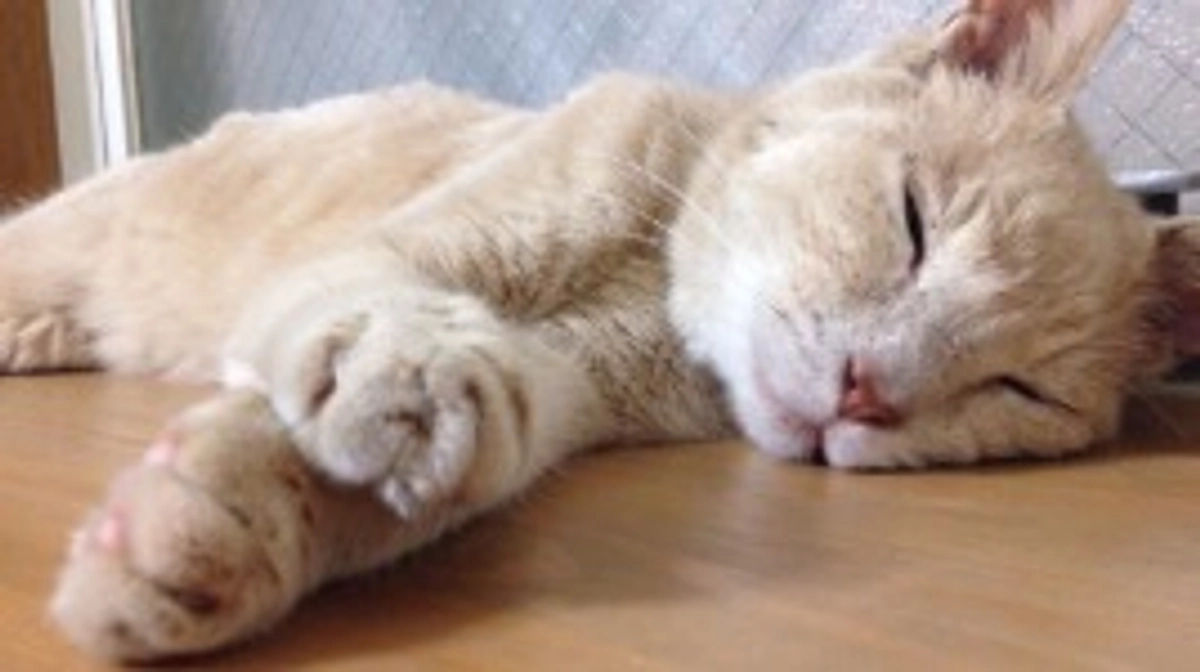 エイズ発症 セピア色のおじいさん