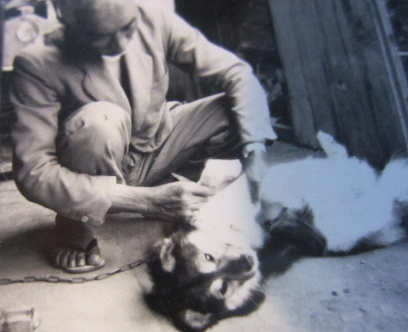 ご支援ご協力をいただき心からお礼申し上げます