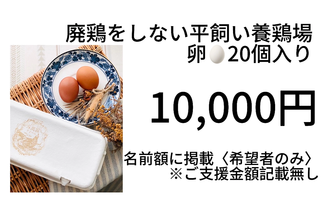 卵リターン10,000円