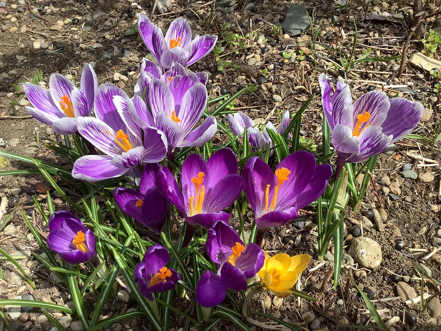 1日8時間以上、変化のない施設内で過ごす子ども達もいます。あと4日となりました。