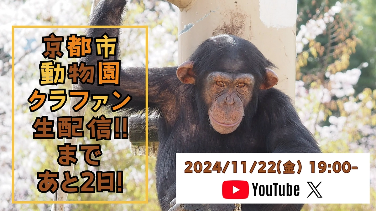 いよいよ明後日配信！【11/22(金)19:00~｜クラファン生配信のお知らせ】