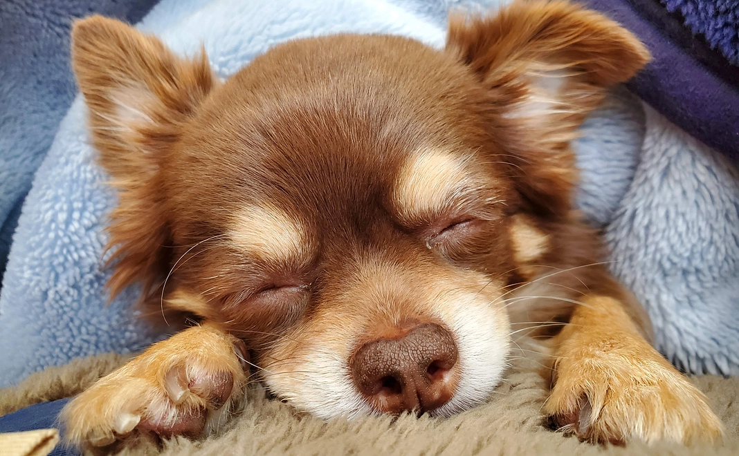 感謝のメッセージ　5000円