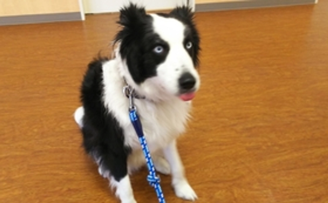 ラルーがんばれ②