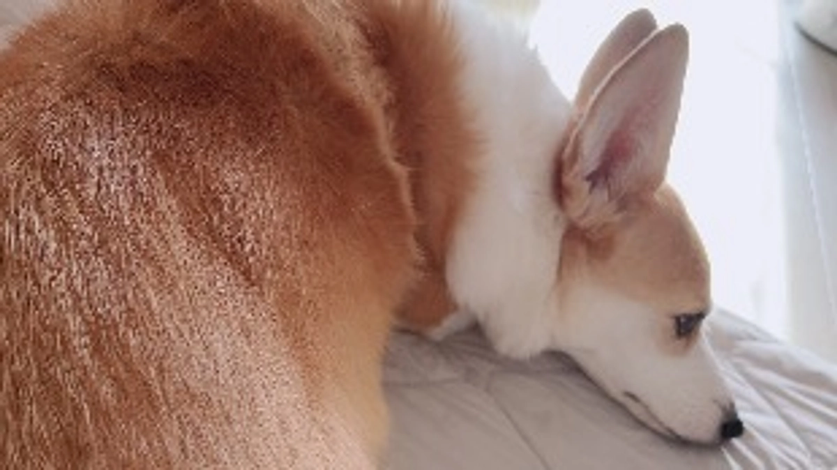 おはようございます☀️今日は病院はおやすみです！