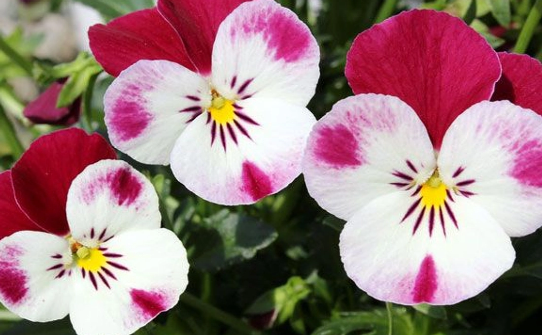 biora「びおら」は、皆さんが歌ってくつろげる、カラオケ喫茶です