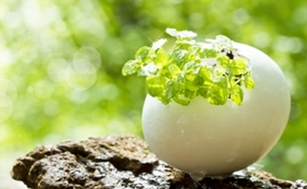 サンクスメール（レポート付き☆）＜一般の方向け＞