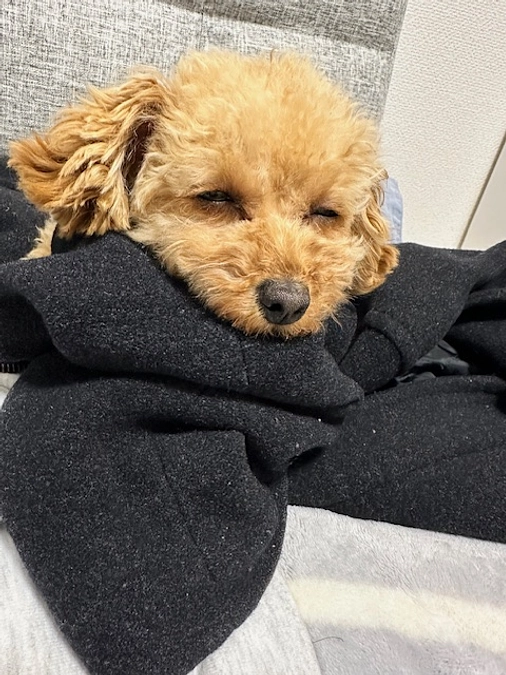 手術が延期になりました。