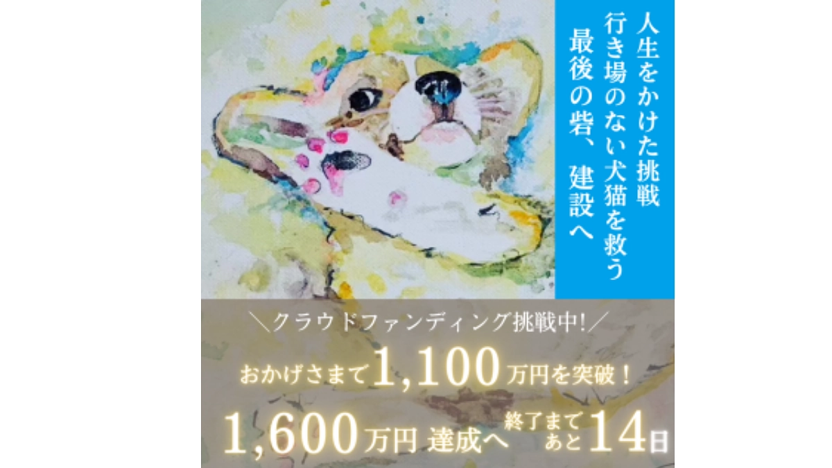 【1100万円突破！】あと14日！あと500万円！ここまできたら、なんとしてでも達成したいです！