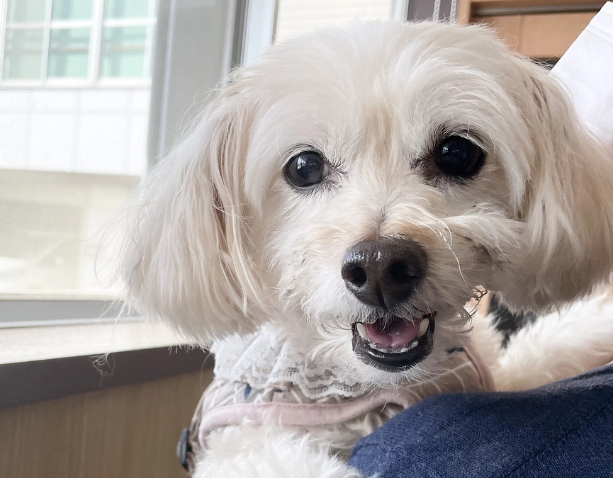 週に1度の病院へ