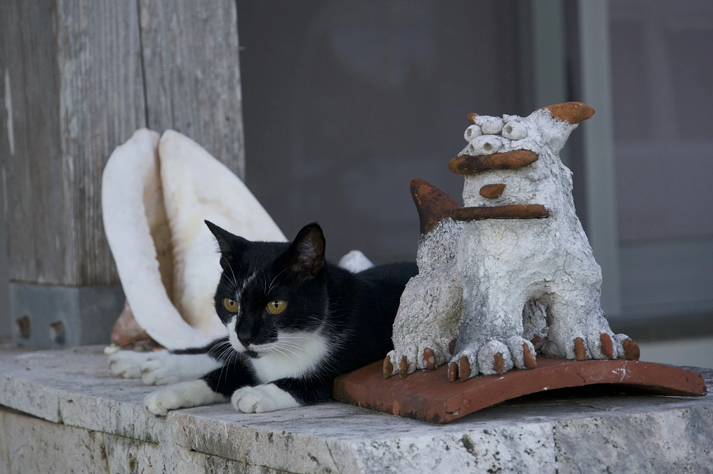 琉球放送ラジオでご紹介いただきました（7月31日）。