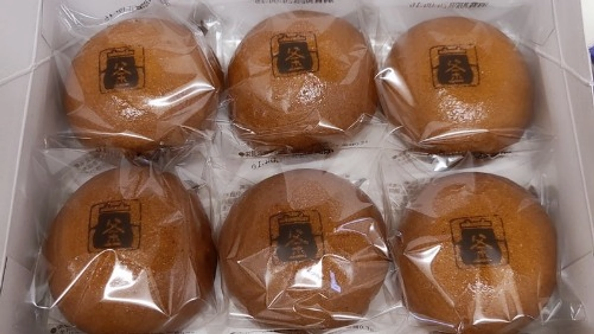  【残り13日！あと約120万円で達成です！】譲渡会ありがとうございました🌷