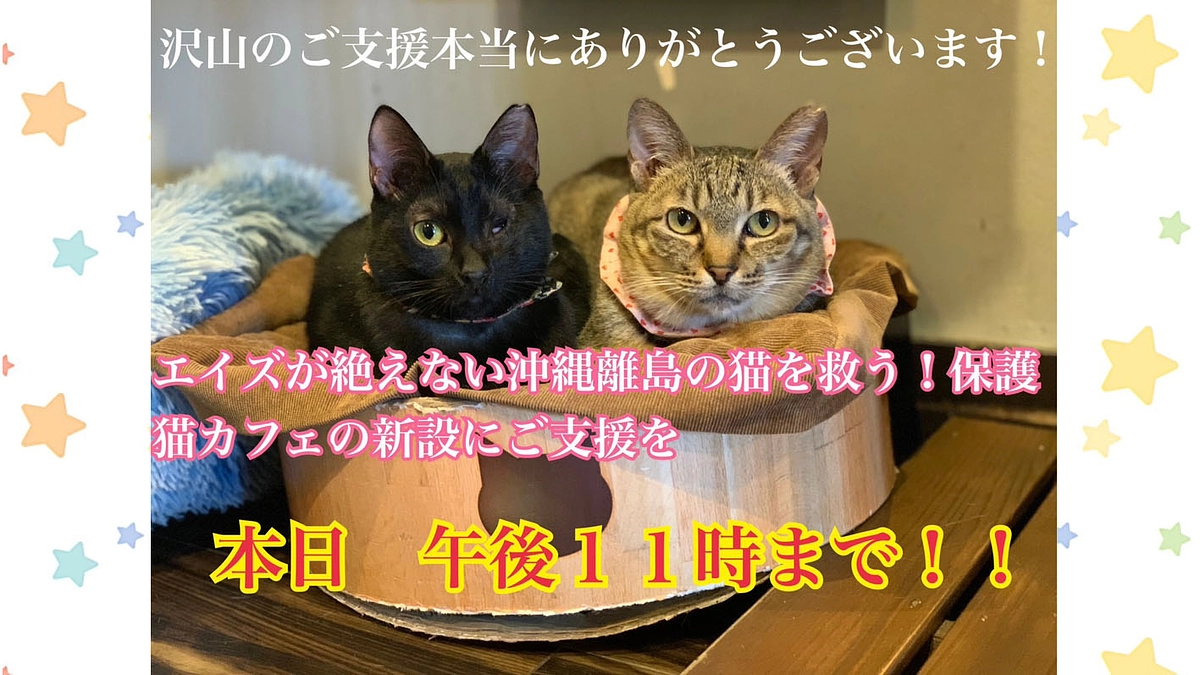 【最終日】今後の事を少し✨