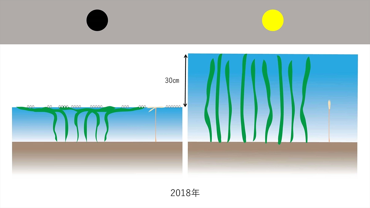 ⑥ 同じ大潮なのに？？？