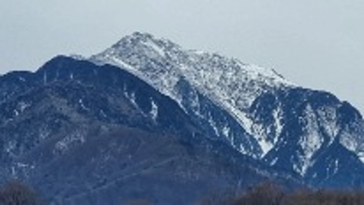 農法に少々変更が出ました。