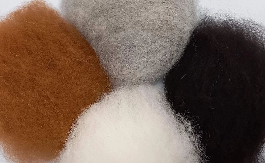 グッズで応援｜アルパカ原毛×2袋とフォトカード×2枚セット