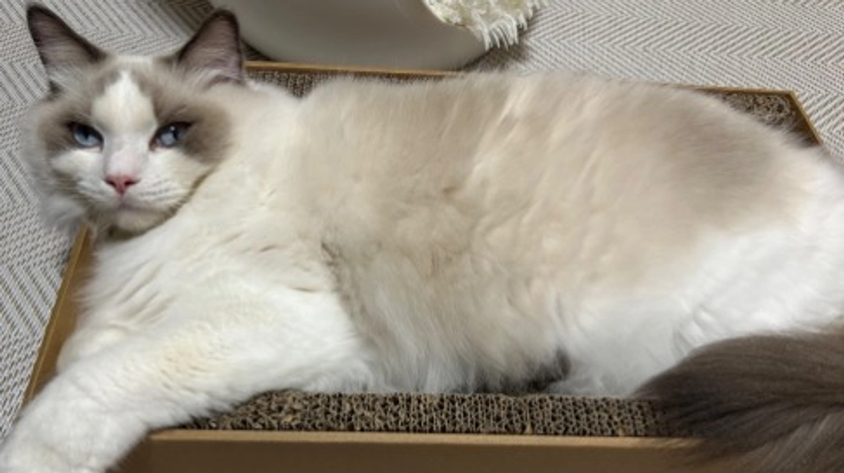 残りあと1時間半で終了です！