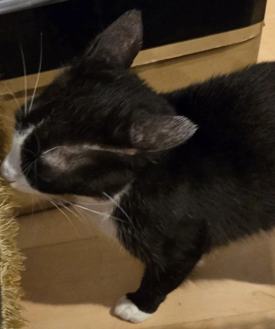 みなさまのご支援のおかげで、「目標額を達成」することができました！