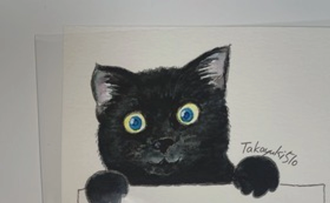 やわらかササミコース