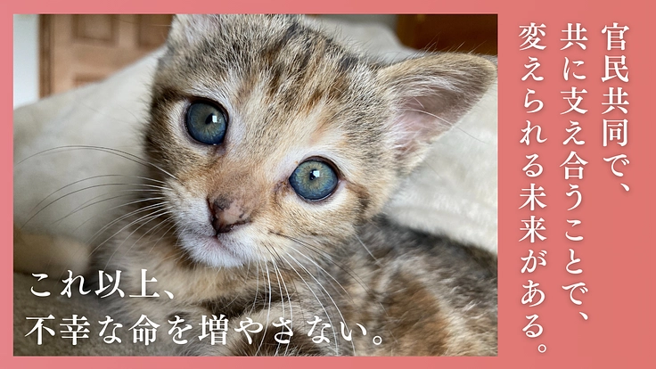 多頭飼育崩壊に歯止めを！行政施設内に「不妊手術専門病院」の開設へ