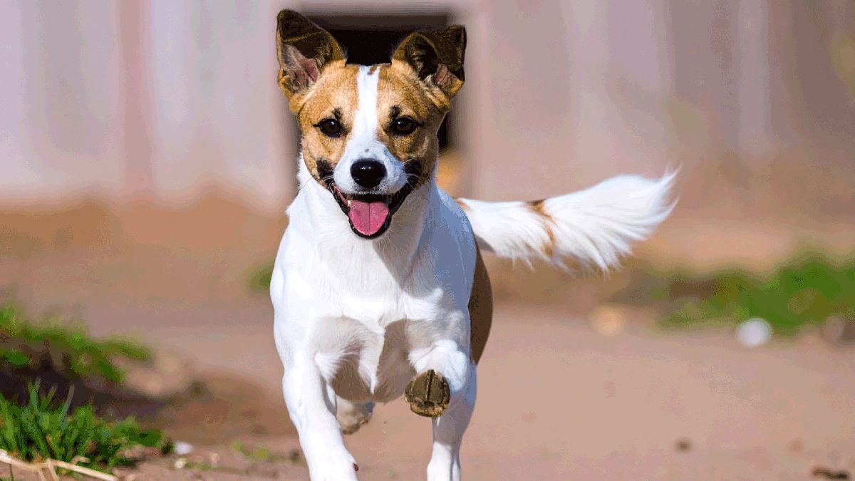 名前が刻まれるワクワク体験！命名権リターン登場