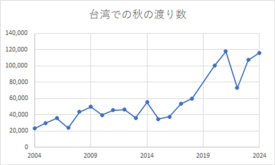 台湾の秋の渡り