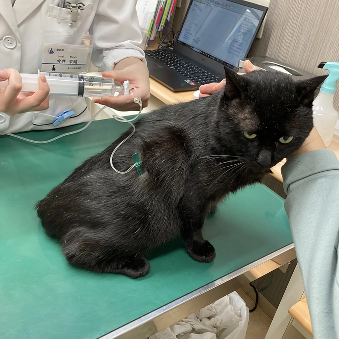 ネロちゃんがまた…