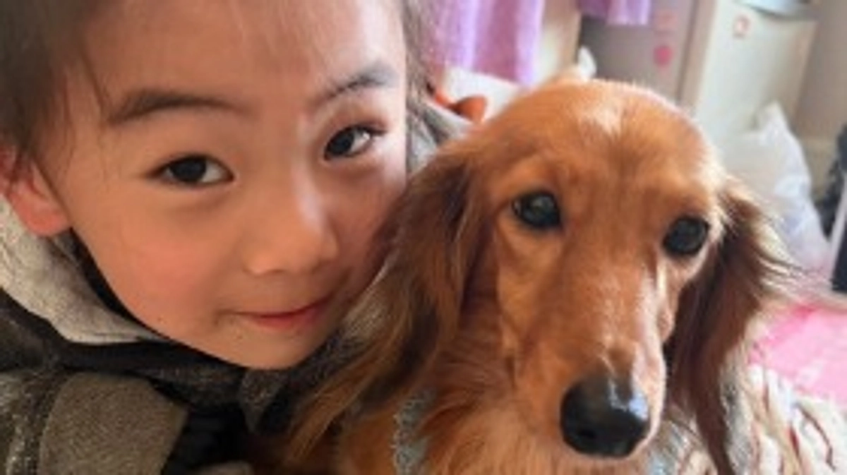 【卒業生紹介🌸】Mダックスクレール