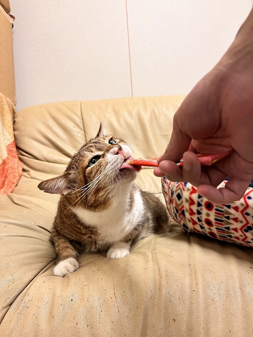 達成できました！