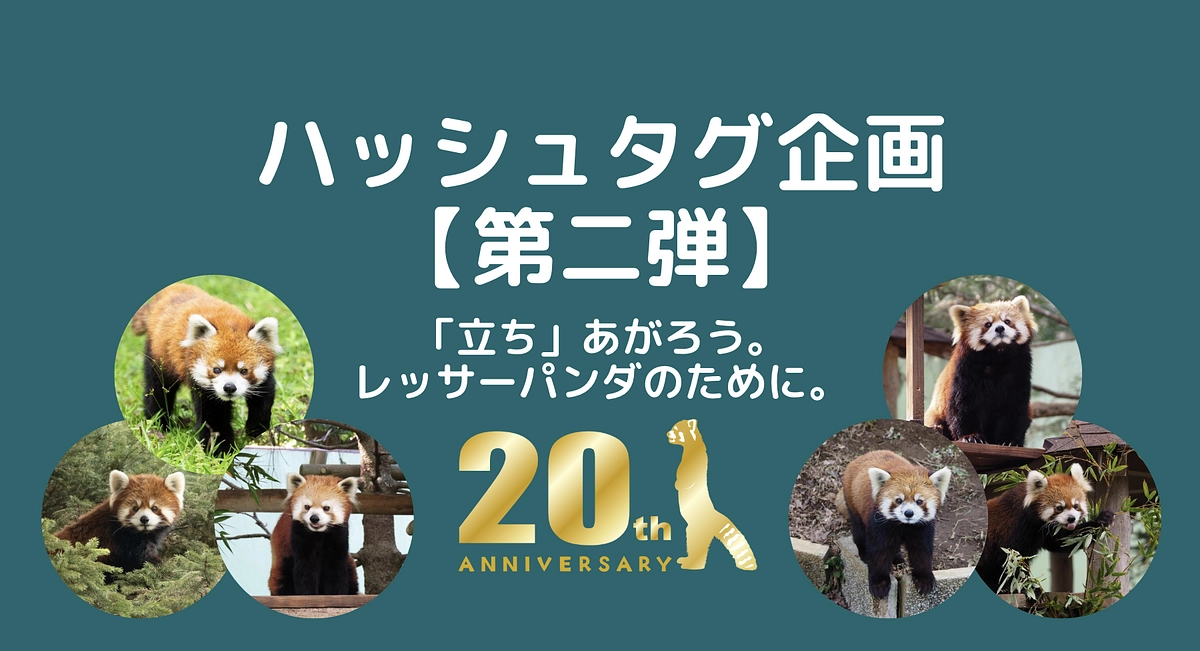 【ハッシュタグ企画第二弾】「立ち」あがろう、レッサーパンダのために。