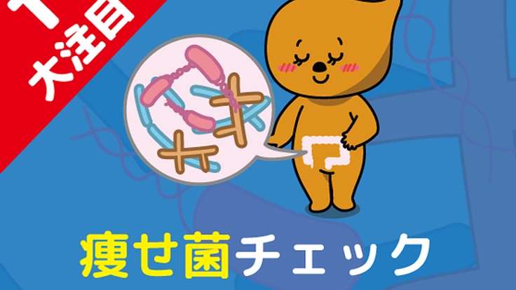美容健康に最新！腸内フローラ解析で痩せ菌チェック限定先行予約